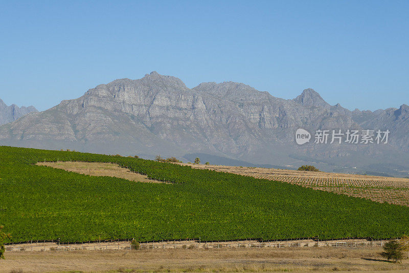 Stellenbosch葡萄酒之乡，南非