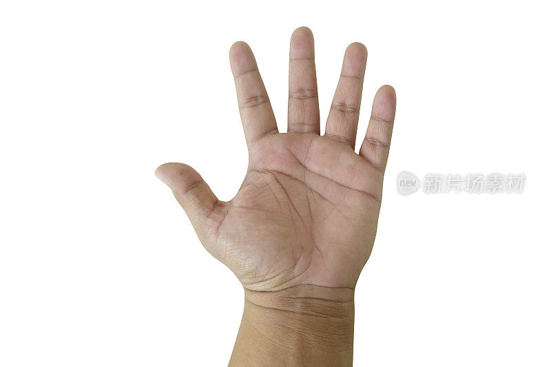 第五名:拇指、食指、中指、无名指和小指孤立在白色背景上。剪切路径。