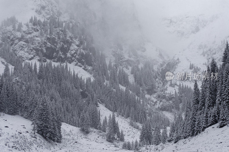 白雪皑皑的山谷