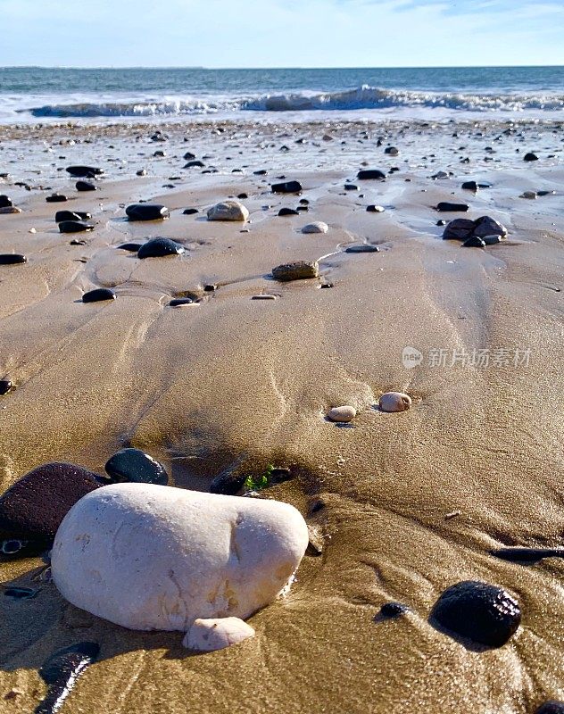 海洋海岸