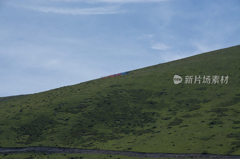 塔贡草原