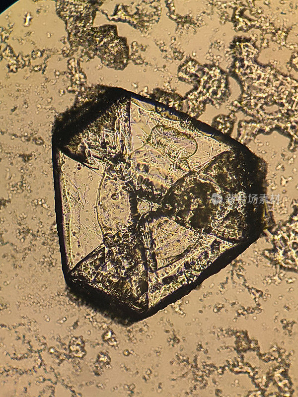 盐晶体的显微镜图