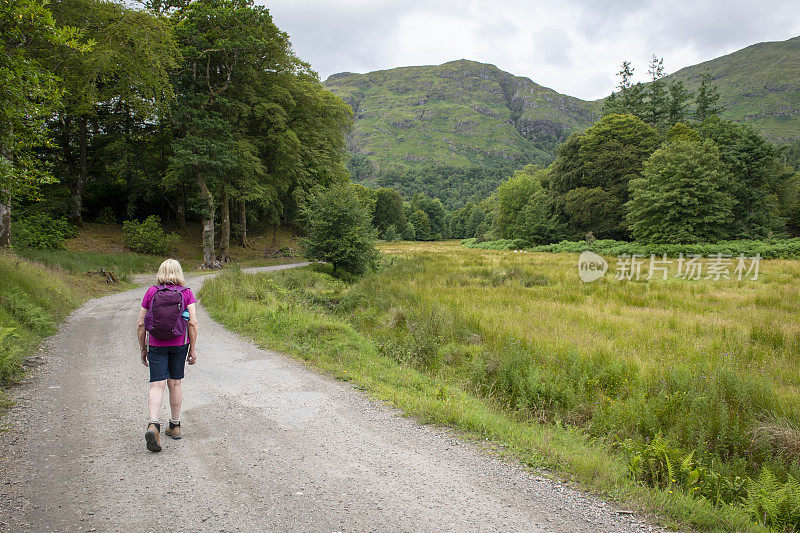 一名成年女性背包客在苏格兰阿德高尔半岛森林旁的土路上徒步旅行。