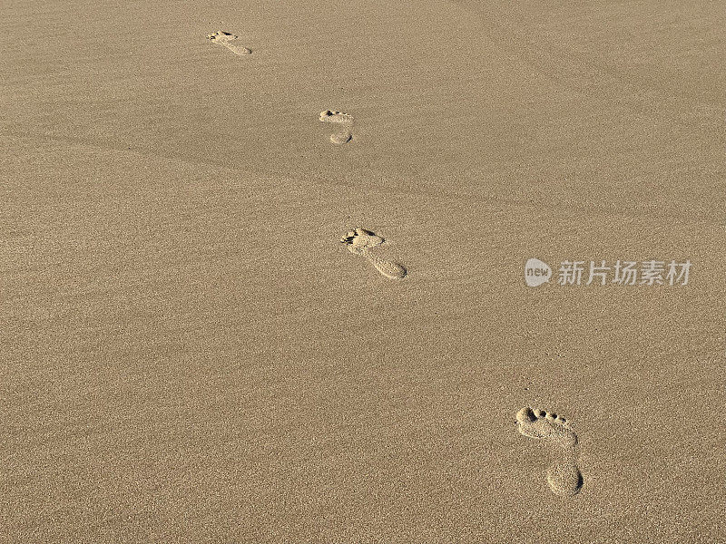 英国，多塞特，普尔湾，南海岸沙滩上的孤独脚印