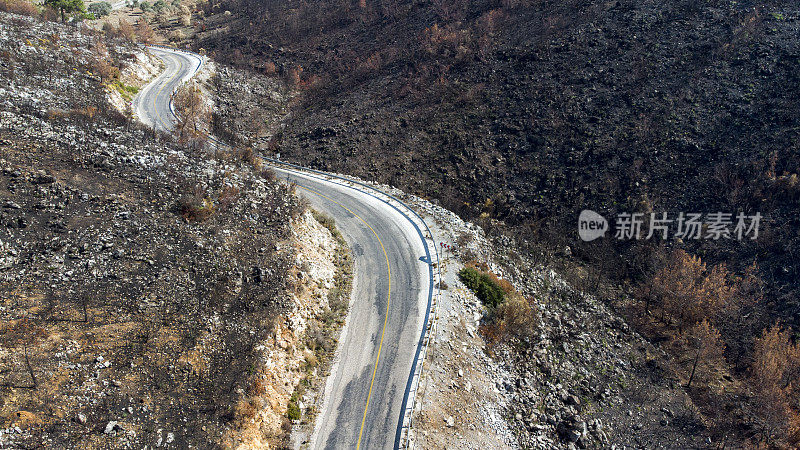 烧焦森林中道路的俯视图