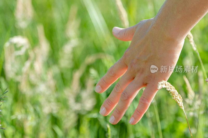 女人的手摸着草