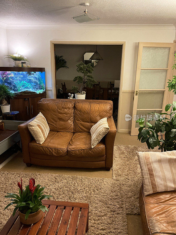 现代休息室客厅的形象，棕色皮革沙发，人造室内植物，竹子，塑料丝绸棕榈树，咖啡桌，鱼缸，当代时尚的室内房间