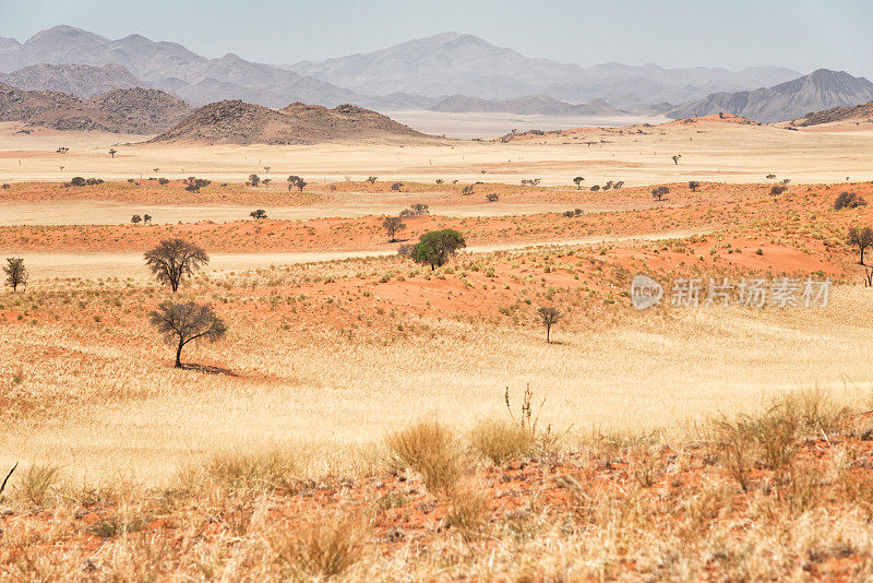 纳米比亚纳米布兰德自然保护区的沙漠景观