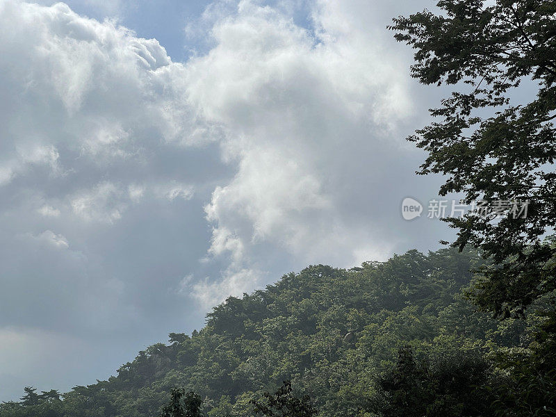 夏天山