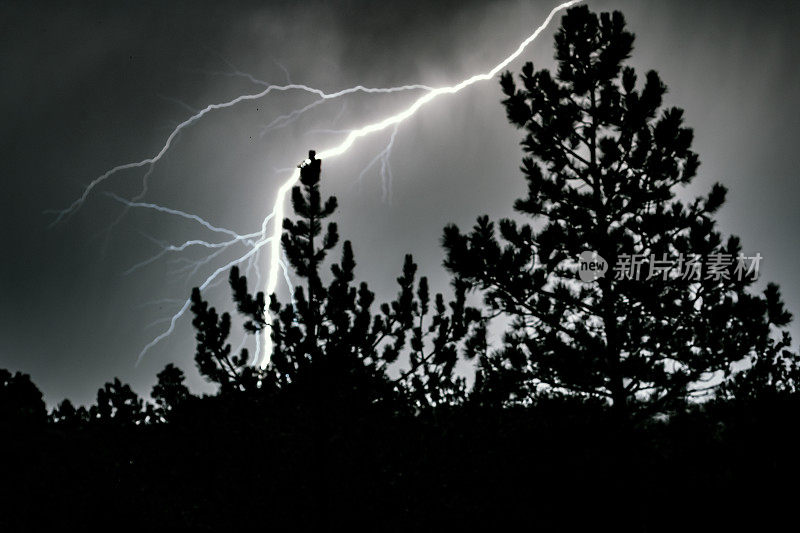 美国西部科罗拉多州夜间闪电袭击
