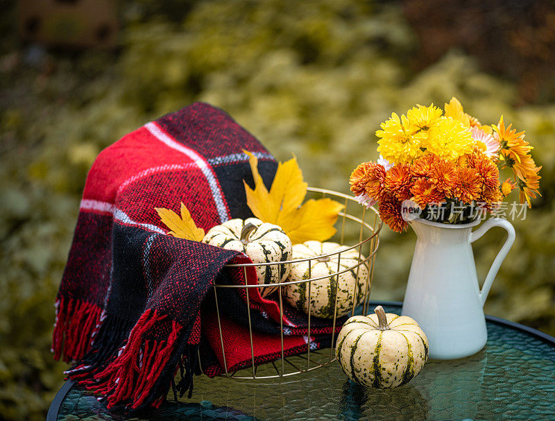 秋天静物画南瓜，花菊花和红毯放在桌子上。秋天背景