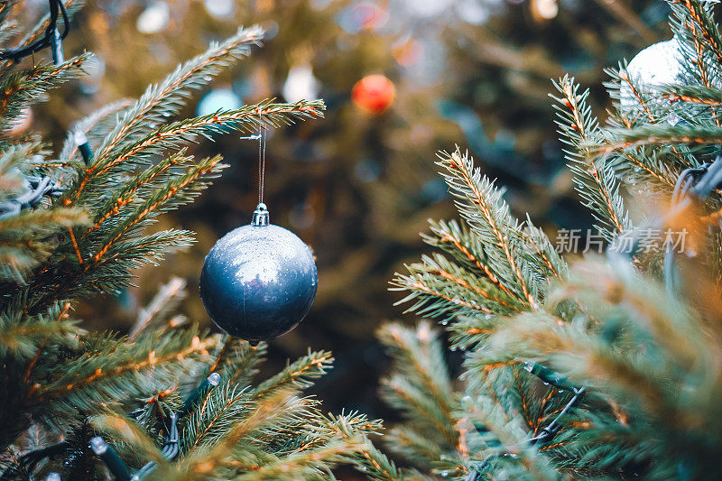 关注闪亮的蓝色小玩意在圣诞树上的树枝与串灯