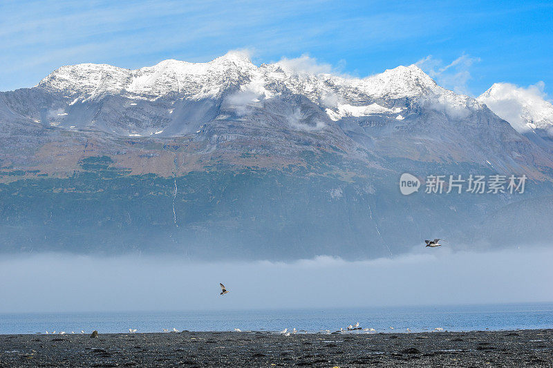 威廉王子湾的海岸