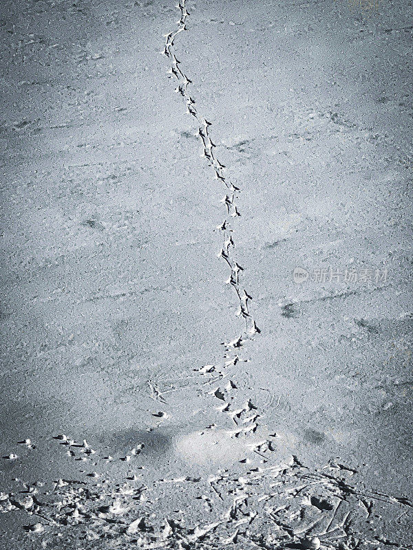 结冰的河流上的雪幡痕迹