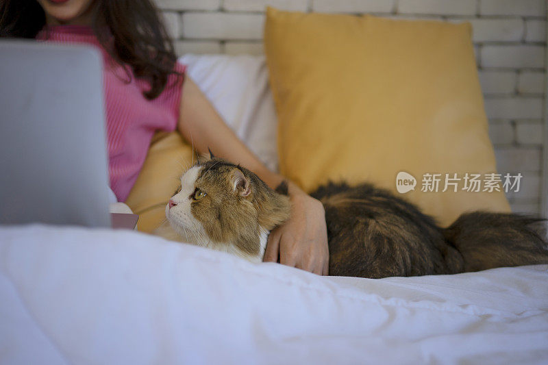 年轻女子和猫呆在家里。