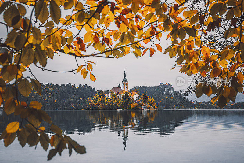 斯洛文尼亚戈伦尼斯卡的布莱德湖和布莱德岛的美丽秋景