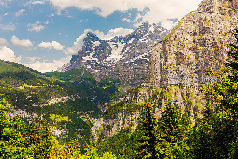 山的风景。Lauterbrunnen。瑞士。伯尔尼州。穆伦村庄。夏天。绿草