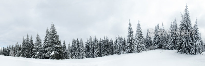 喀尔巴阡山。群山被积雪覆盖
