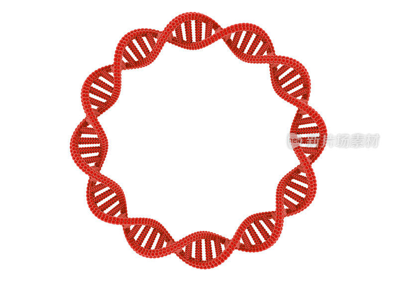 圈红色的DNA。