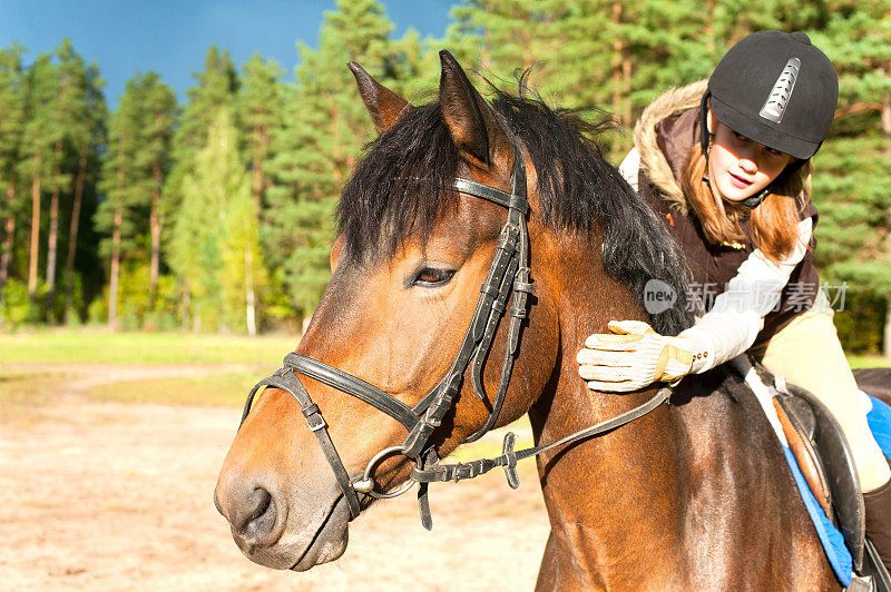 骑马的女孩骑着马，抚摸着马的脖子。夏季在户外