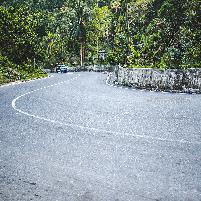 丛林的道路。