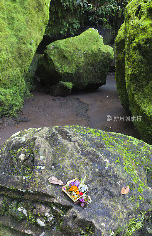 巴厘岛青苔岩花园