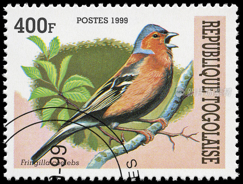 苍头燕雀鸟的邮票