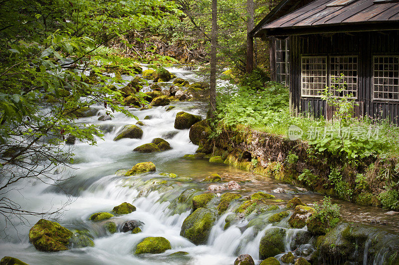 春天在山涧旁的废弃小屋