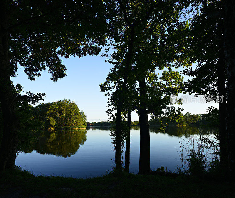日落时分树木环绕的湖泊