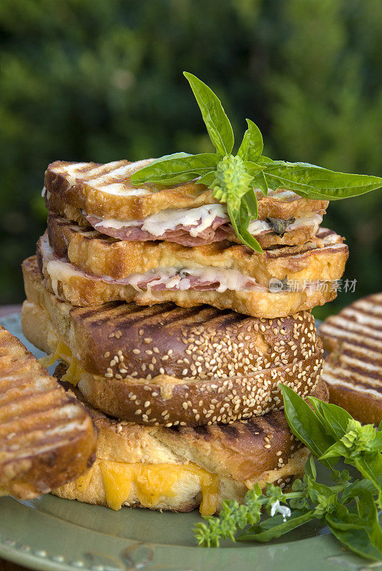 健康食品，烤奶酪和牛肉帕尼尼，新鲜面包野餐三明治
