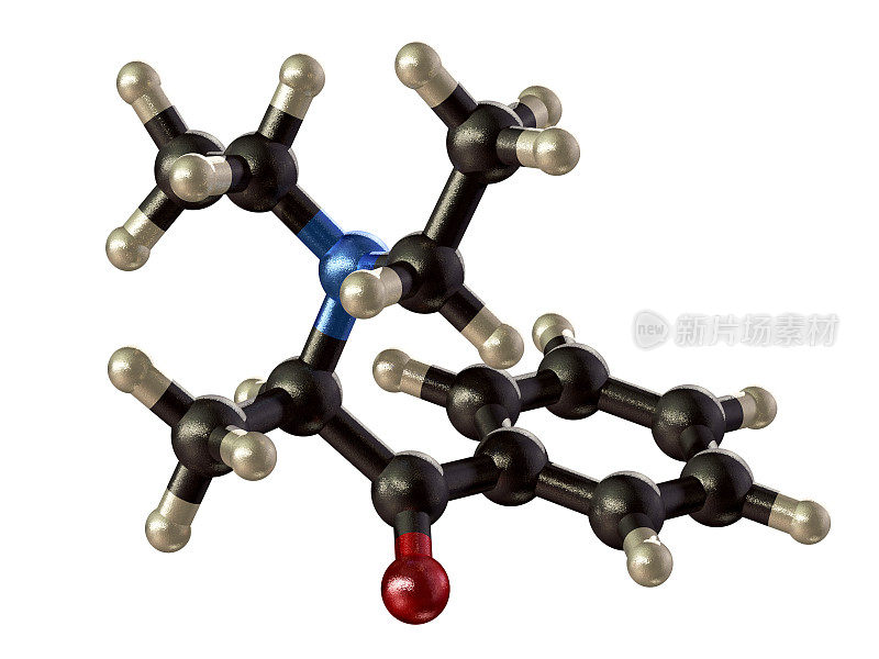 两栖生物模型