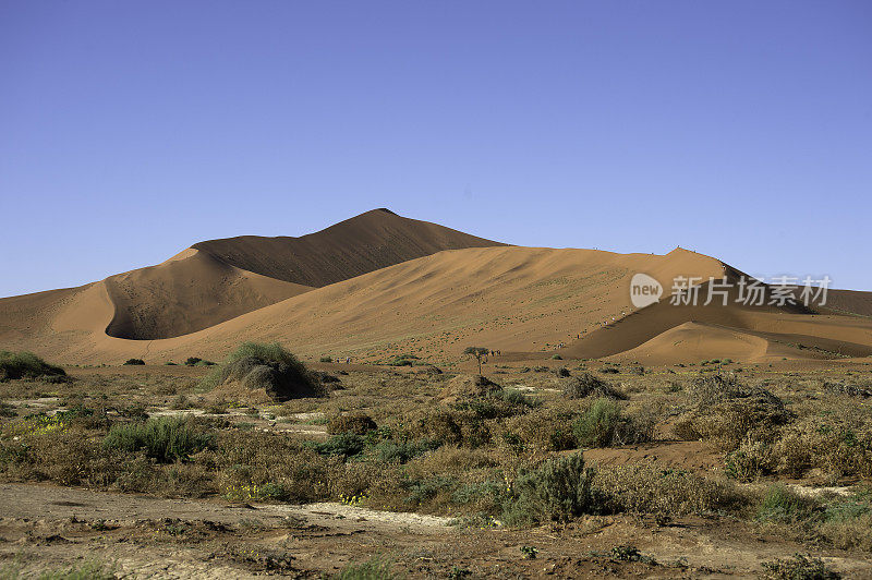 大爸爸带着游客登山