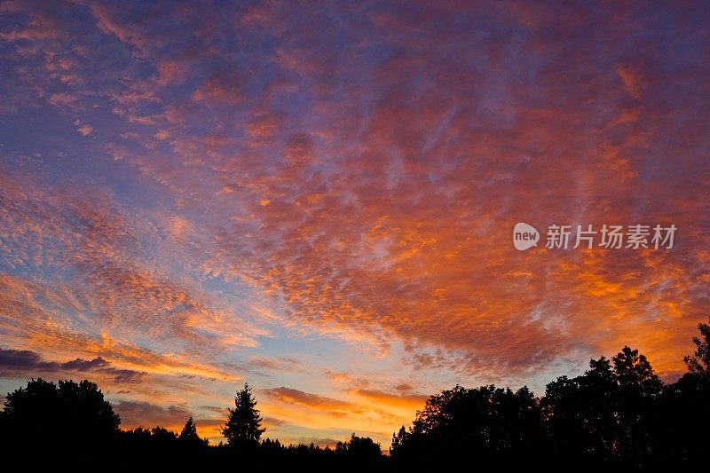 俄勒冈州的夏天的天空