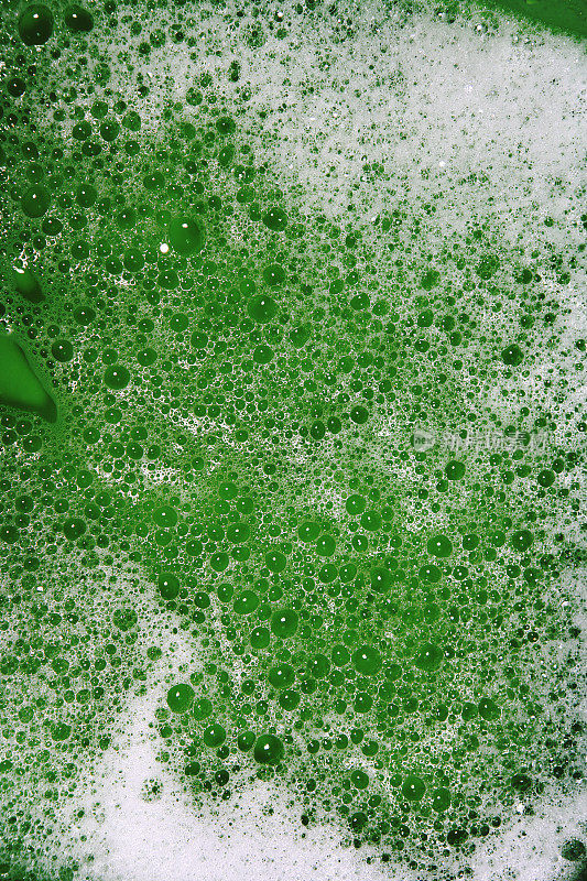 肥皂泡背景(绿色)