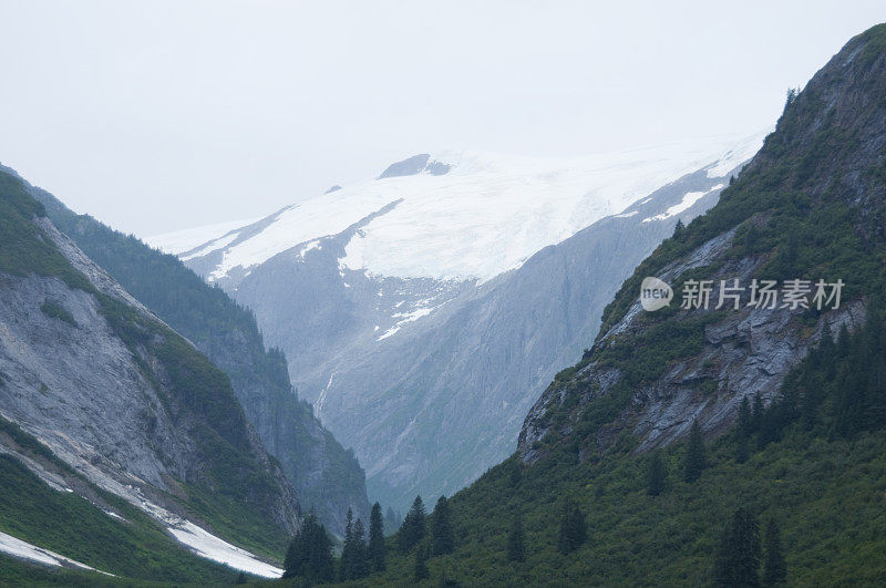 特蕾西海湾-阿拉斯加