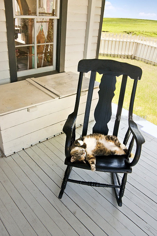 懒洋洋的夏天乡村猫睡在后门廊的摇椅上