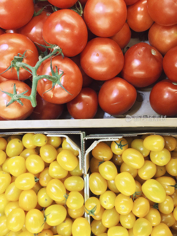 不同寻常的西红柿品种俯视图