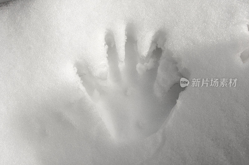 雪地里的手