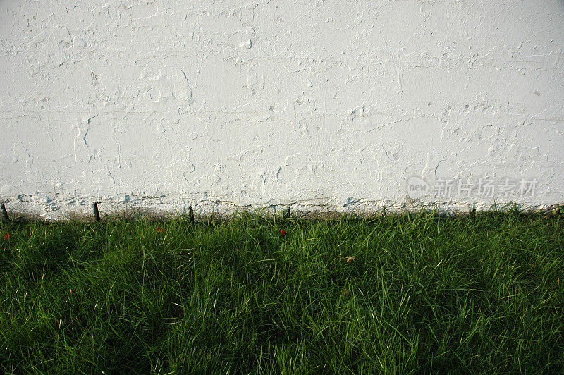 墙和草