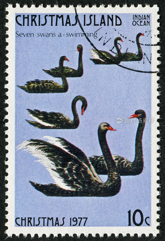 七只天鹅一张游泳邮票