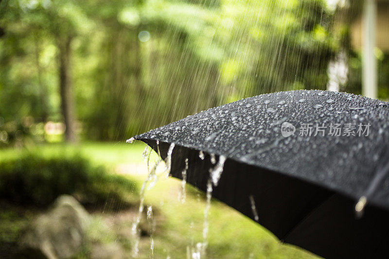 雨天。雨点落在户外的黑色雨伞上。春天,夏天。