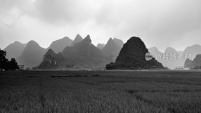 喀斯特地区的稻田