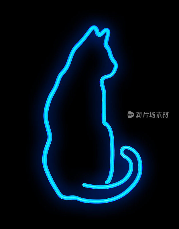蓝色霓虹灯的猫