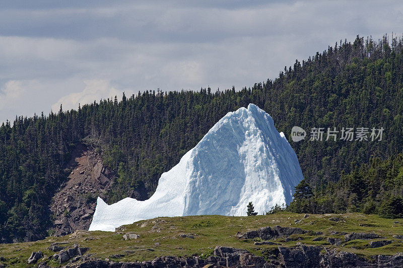 “搁浅”冰山，三一湾，纽芬兰，加拿大。