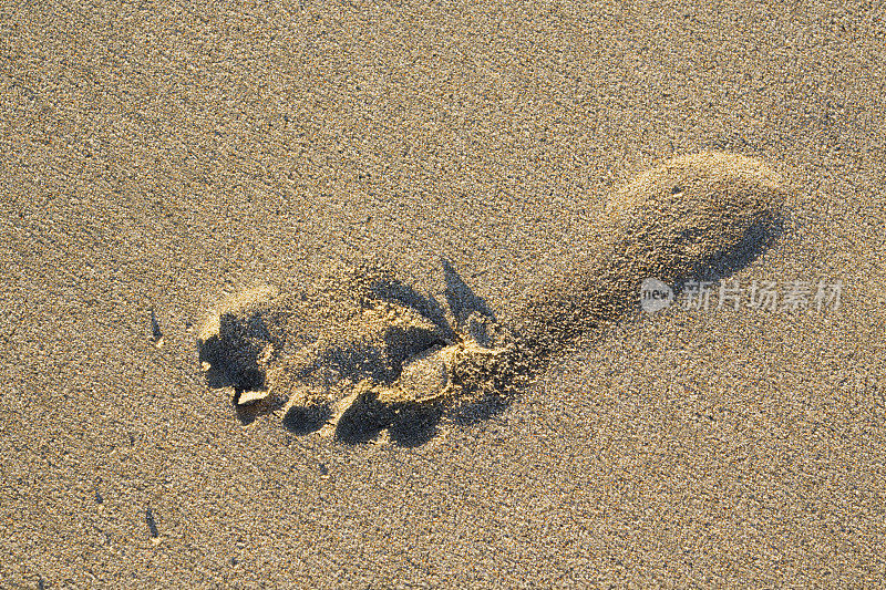 沙滩上的足迹