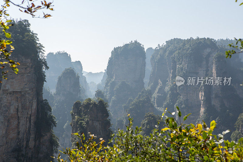 砂岩柱，张家界国家森林公园，中国