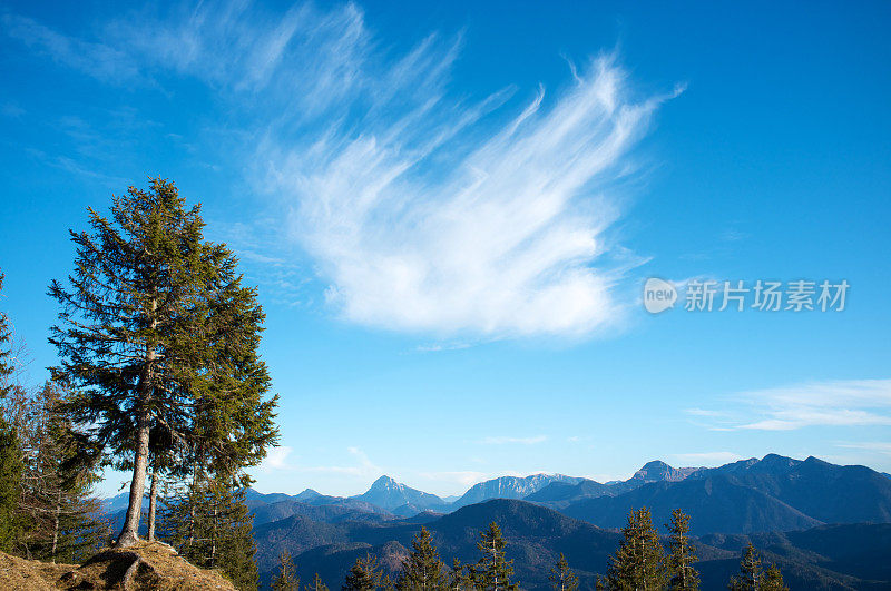 阿尔卑斯山