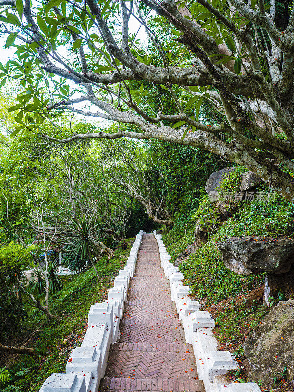 通往老挝福斯琅勃拉邦山顶的楼梯