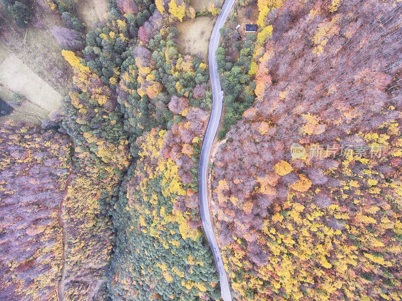 穿越秋天森林的道路-鸟瞰图