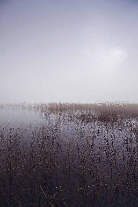 早晨的雾笼罩着湖面